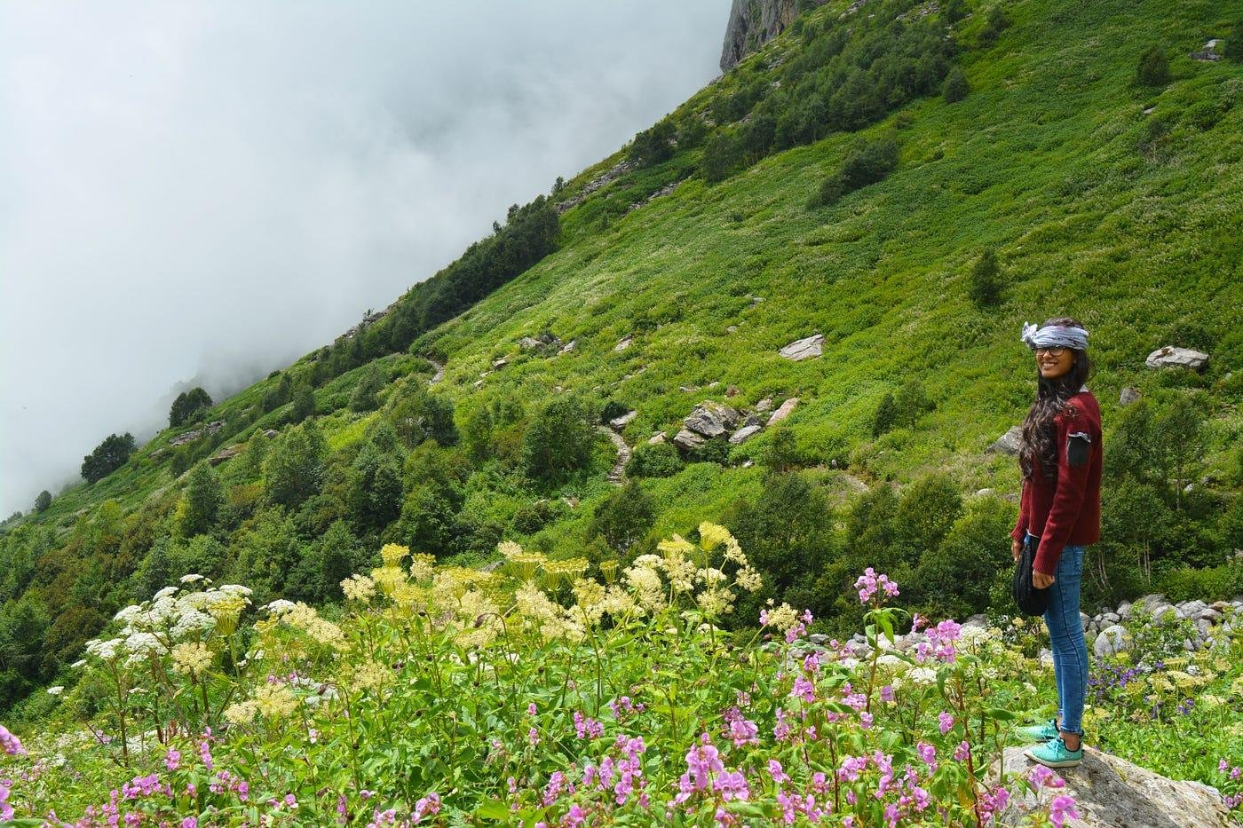 Valley of Flowers